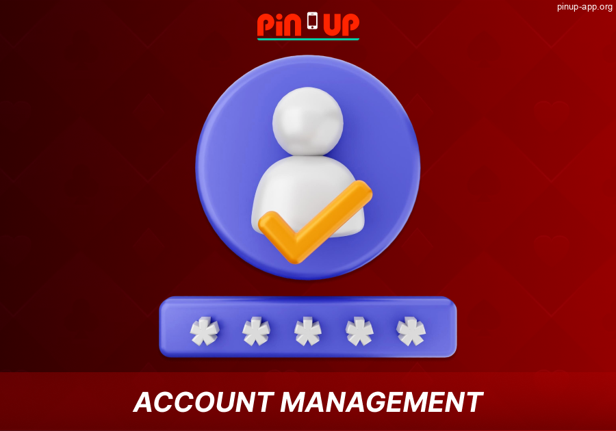 Pin Up App player profile